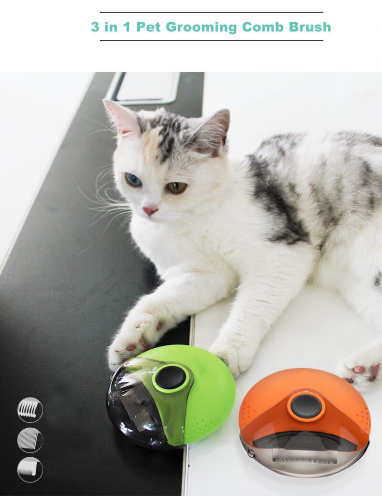 Pet Accessories